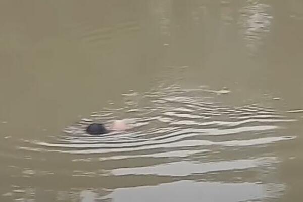 GLEDAJTE NA SOPSTVENU ODGOVORNOST! Bili su u ŠOKU kad je iz REKE isplivalo OVO (UZNEMIRUJUĆI VIDEO)