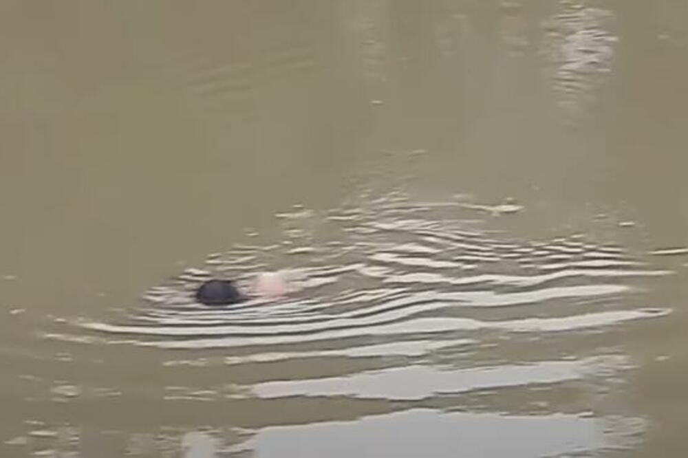 GLEDAJTE NA SOPSTVENU ODGOVORNOST! Bili su u ŠOKU kad je iz REKE isplivalo OVO (UZNEMIRUJUĆI VIDEO)