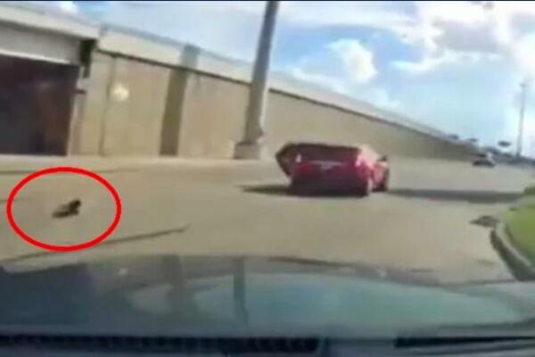 DETE ISPALO IZ KOLA U POKRETU: Scena kao iz HOROR filma ostavila LJUDE bez TEKSTA! (VIDEO)