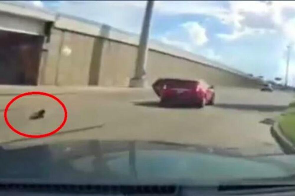 DETE ISPALO IZ KOLA U POKRETU: Scena kao iz HOROR filma ostavila LJUDE bez TEKSTA! (VIDEO)