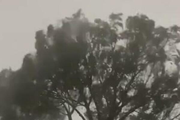 SNAŽNA OLUJA POGODILA FRANCUSKO OSTRVO! Jedna OSOBA poginula (VIDEO)