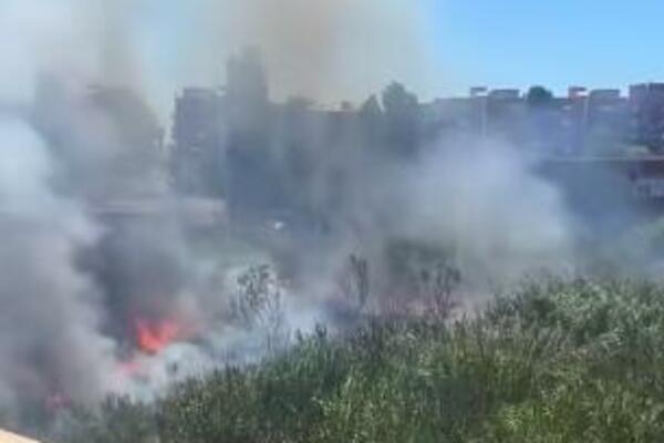 ŽENA NA SVE NAČINE POKUŠAVA DA UGASI POŽAR: Komšije samo gledale i ISMEVALE JE! (VIDEO)