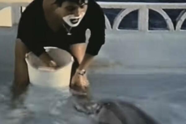 "NIJE MOGAO DA SE KONTROLIŠE, POKAZIVAO JE GENITALIJE": Žena opisala sopstveni ODNOS SA DELFINOM (FOTO)