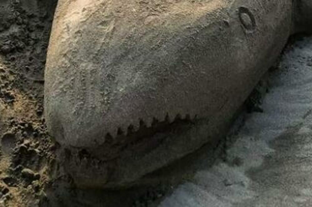 POGLEDAJTE SAMO ŠTA JE DOČEKALO KUPAČE NA PLAŽI U ULCINJU: Nisu mogli da veruju svojim OČIMA! (FOTO)