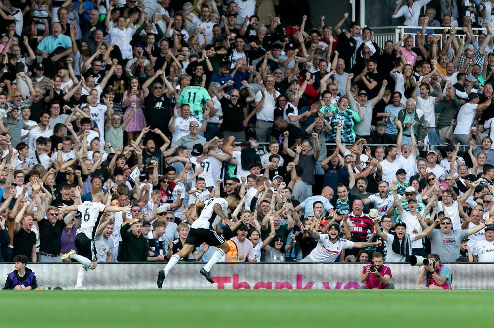 Aleksandar Mitrović