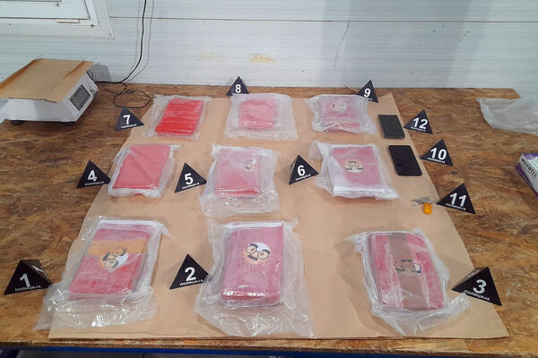 MUŽ I ŽENA IZ PANČEVA UPETLJANI U KRIJUMČARENJE KOKAINA: Imali razrađeni biznis sa hranom, NIJE IM BILO DOVOLJNO!