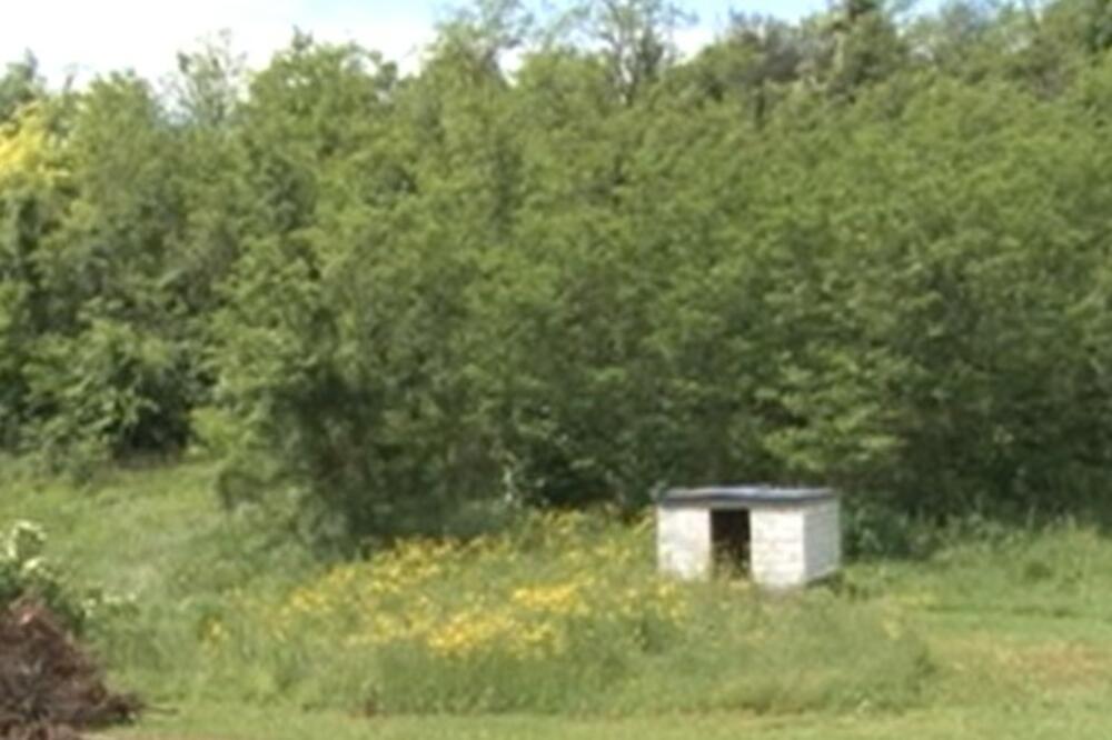 POSLEDNJE DETE ROĐENO PRE SKORO TRI DECENIJE: Vojvođansko selo postalo je pustinja, žive BEZ VODE