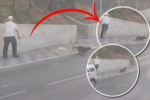 SRAM TE BILO, ŠTA RADIŠ TO? Ovaj deda gađa kamenjem psa do smrti, "UGLEDAJTE SE NA STARE"- NEKA HVALA! VIDEO