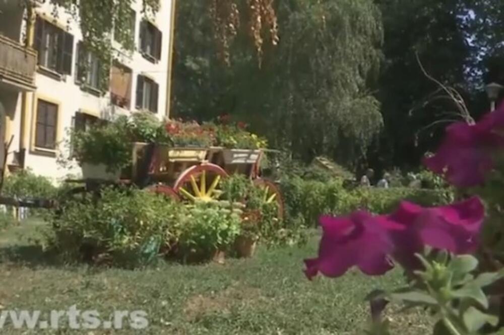 ŠTA SE SVE MOŽE KAD SE BEOGRAĐANI SLOŽE: Prelepi prizori prestonice, SJAJNA IDEJA! (FOTO)