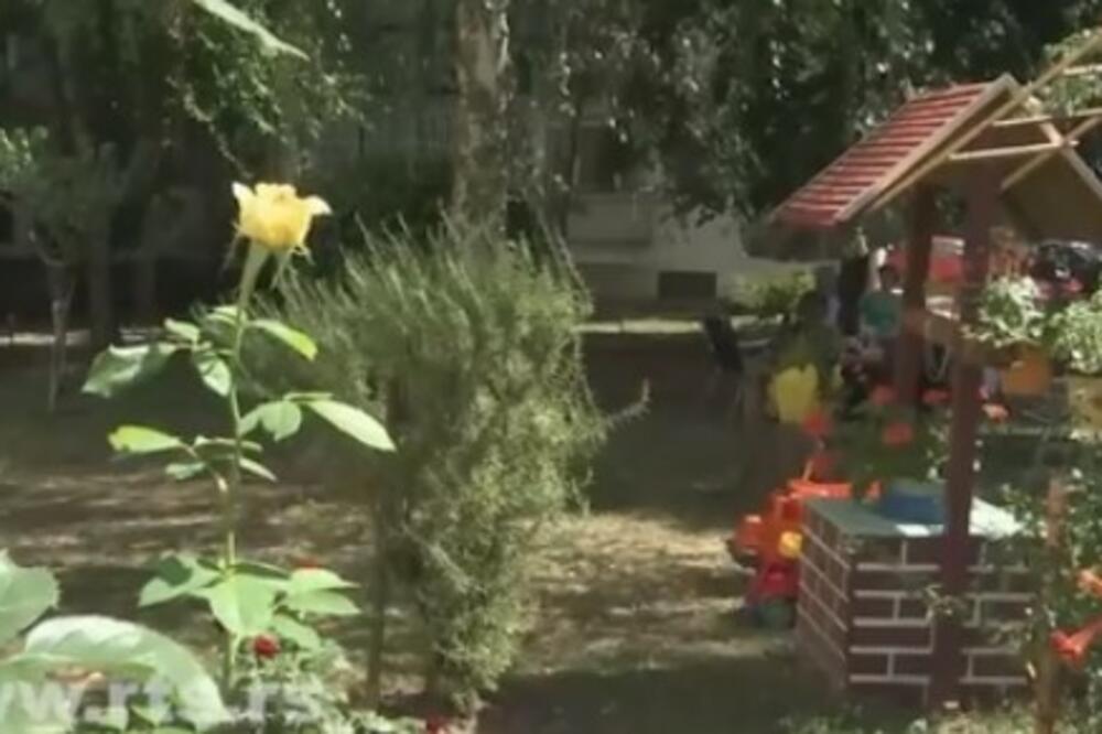 SLAVIŠA JE ČISTIO DVORIŠTE, A ONDA JE UGLEDAO NEŠTO NEVEROVATNO: Ovo se NIKAD RANIJE nije desilo! (FOTO)