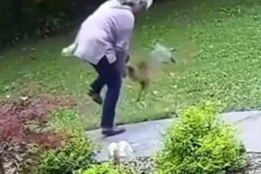 NIJE NI SLUTILA DA SE OPASNOST NALAZI U NJENOM DVORIŠTU: Jeziva ZVERKA napala ženu, prizori su POTRESNI! (VIDEO)