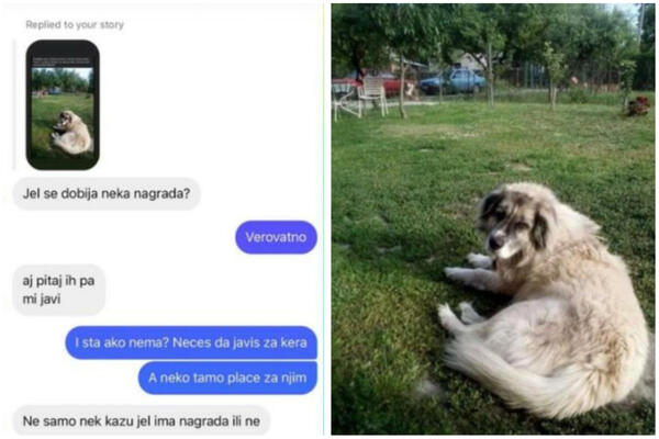 ČOVEK TRAŽI PSA, A PORUKU KOJU JE DOBIO ZGORZILA NAS JE! Da li je moguće da je OVO PITANJE NEKOM PADNE NA PAMET!?