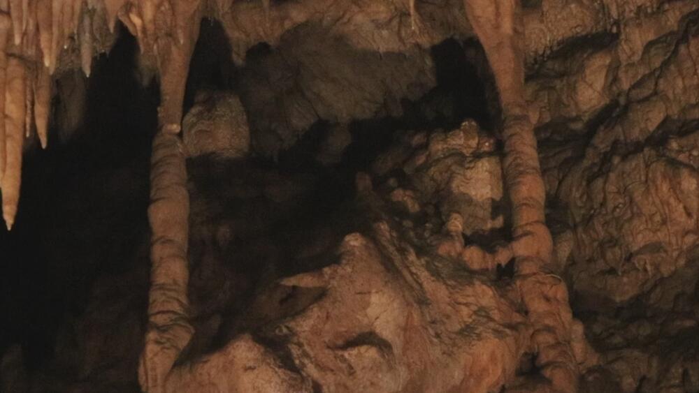Potpećka pećina, Pećina