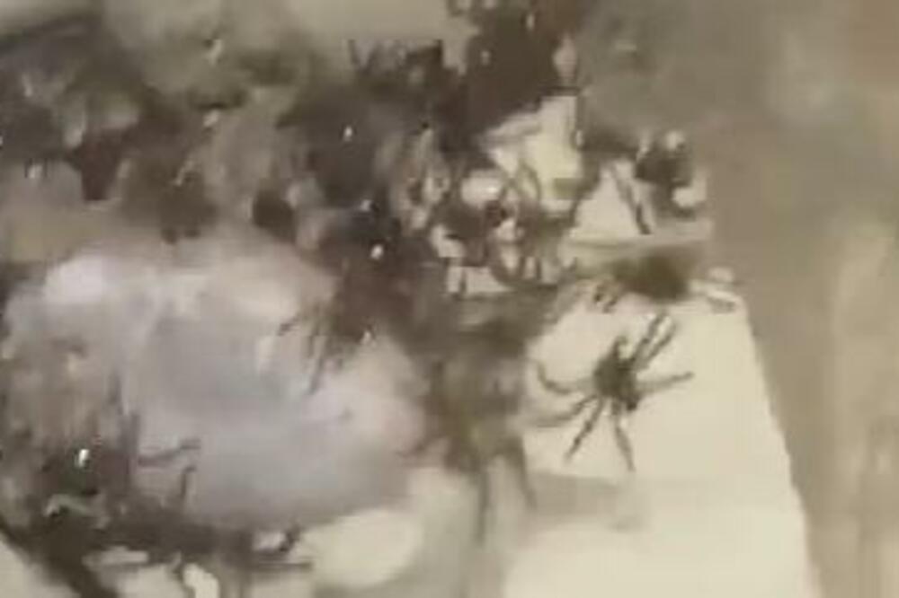 DA LI MOŽETE DA IZDRŽITE 11 MINUTA KOMPLETNOG STRAHA? Isplivao HOROR snimak, ceo svet UŽASNUTO GLEDA! (VIDEO)