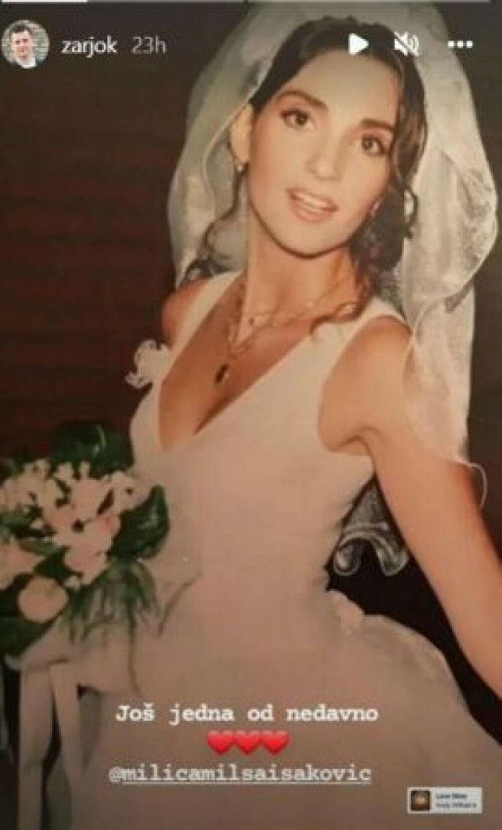 Milica Milša, Žarko Jokanović