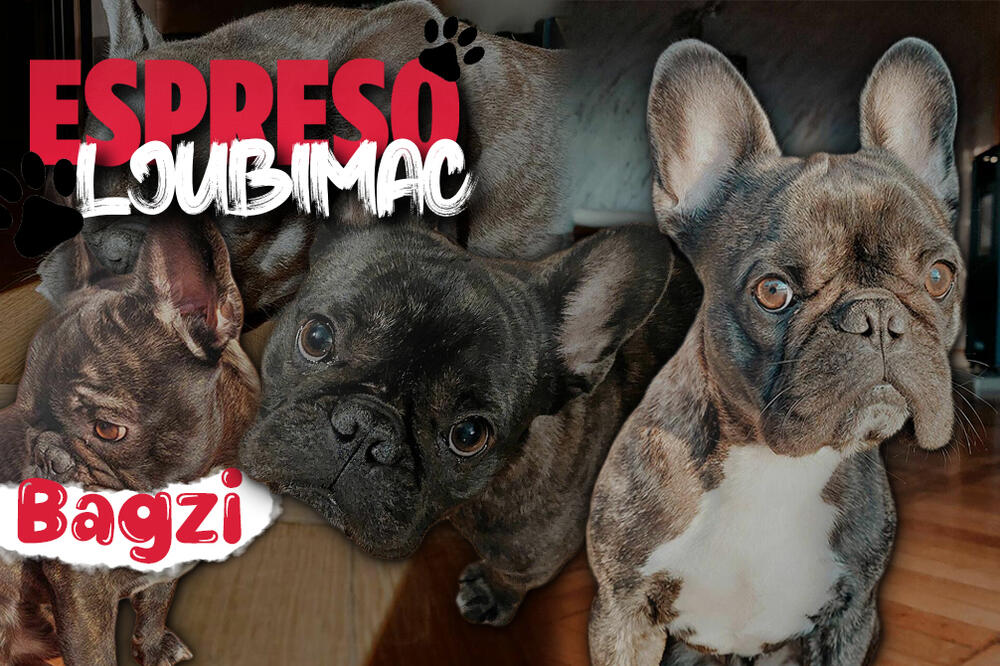 BAGZI JE UVEK RASPOLOŽEN ZA IGRU! Ovaj mali VESELJAK će ugrejati NAJHLADNIJA srca, poslušajte NJEGOVU priču (FOTO)