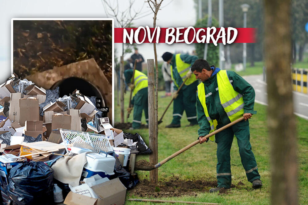 NOVOBEOGRAĐANI SE ŽALILI DA SA DECOM MORAJU DA ČISTE KANTE: Iz "Zelenila" su nam objasnili ZAŠTO DOLAZI DO PROBLEMA