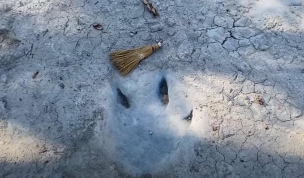 Otisak (ilustracija)