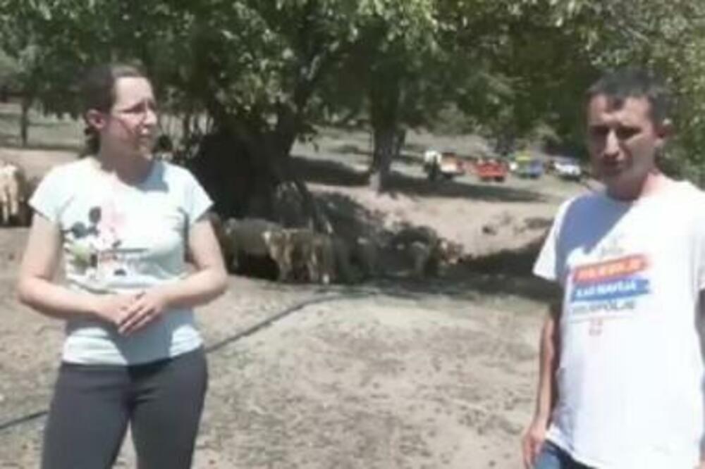 DRAGANA JE ZBOG MILUTINA ZUBARSKU ORDINACIJU ZAMENILA ZA SELO: Pronašla oazu SLOBODE i postala PASTIRICA (FOTO)