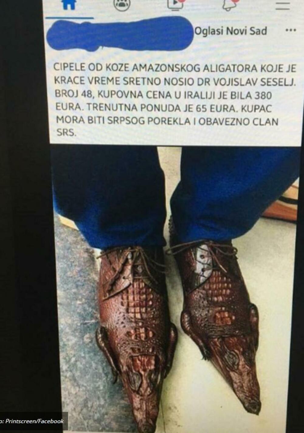 Šešelj cipele od aligatora