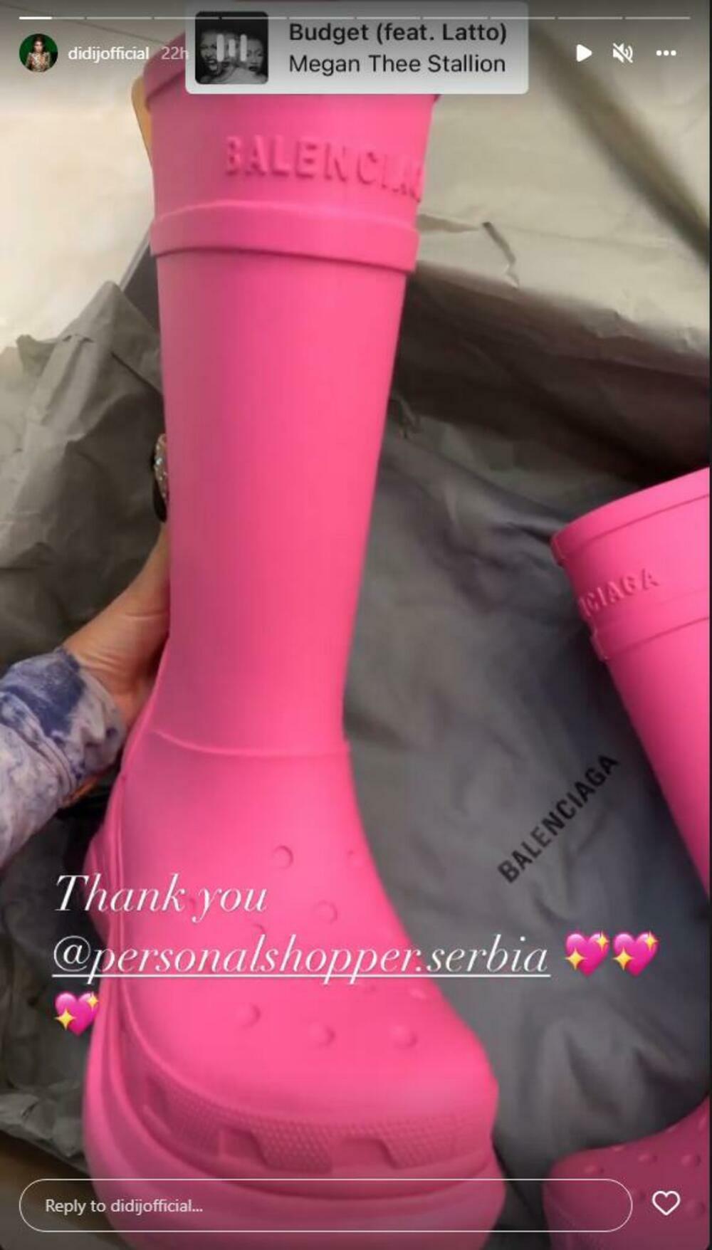 Didi Džej, Dijana Janković