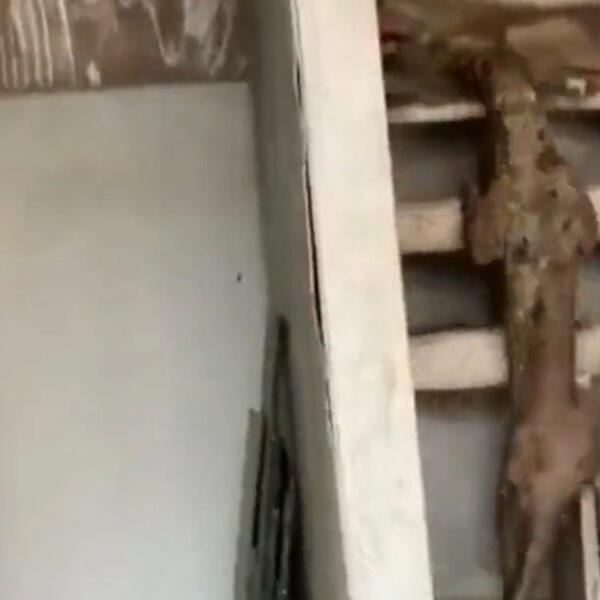 KAŽU DA LIČI NA DEMONSKO BIĆE: Snimak MISTERIOZNOG STVORENJA uplašio ljude, POGLEDAJTE MU OČI (VIDEO)