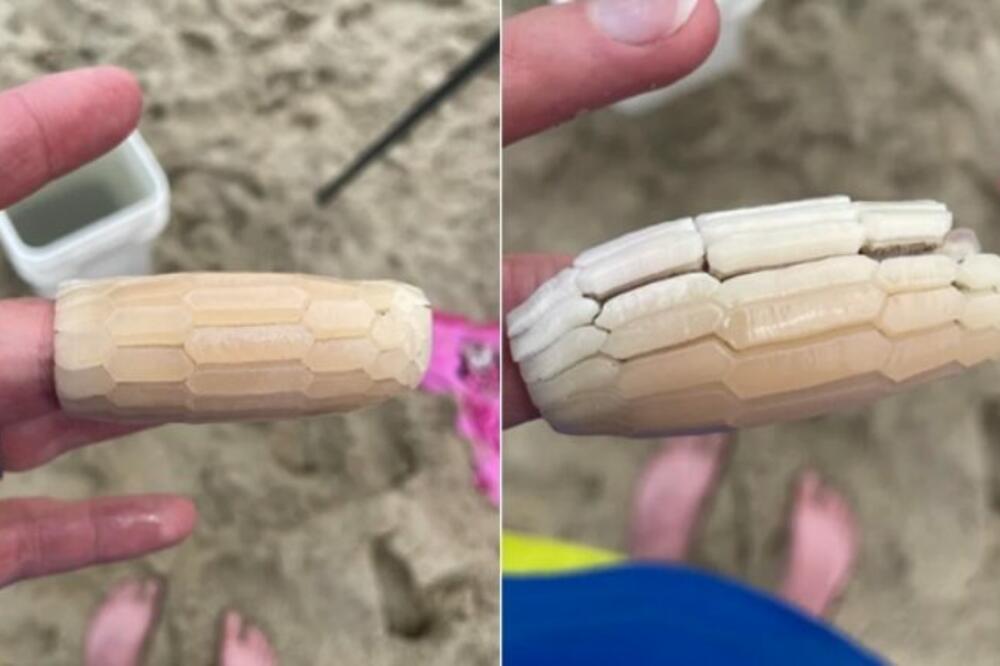 ŠTA JE OVO? Žena pronašla neobičan PREDMET NA PLAŽI, pa otkrila ŠOKANTNU ISTINU! (FOTO)