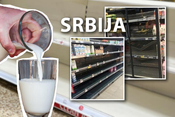 SRBI U PANICI ZBOG NESTAŠICE MLEKA: Agroekonomista otkrio šta nas čeka i zašto FALI MLEKA na rafovima