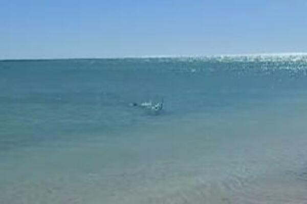 STRAVIČAN PRIZOR NA PLAŽI: Muškarac hteo da proveri VODU, a onda je ispred njega IZLETELO OVO (VIDEO)