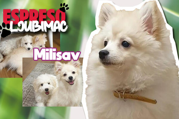 ROĐEN DA UŽIVA! Milisav ZNA šta zaslužuje i NE PLAŠI se da ZATRAŽI kraljevski TRETMAN, ubedljivo je NAJSLAĐI (FOTO)