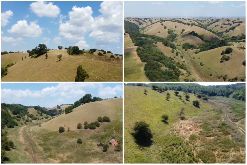 Deliblatska peščara