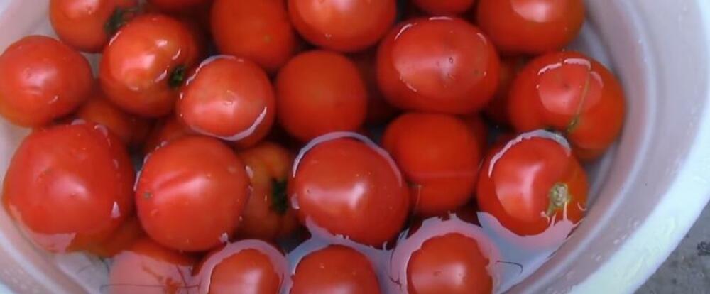 Ljutenica, Leskovačka ljutenica