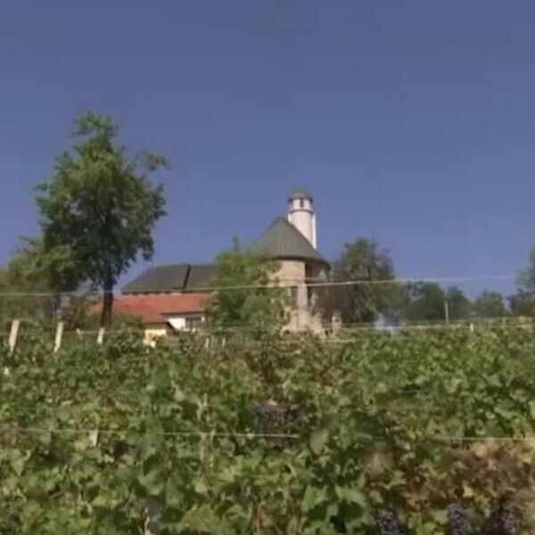 Osam sati rada, dva obroka, prevoz i dnevnica do 70 evra, a niko neće da radi! Ovaj sezonski posao se baš isplati