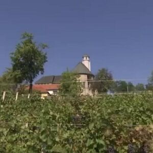 Osam sati rada, dva obroka, prevoz i dnevnica do 70 evra, a niko neće da radi! Ovaj sezonski posao se baš isplati