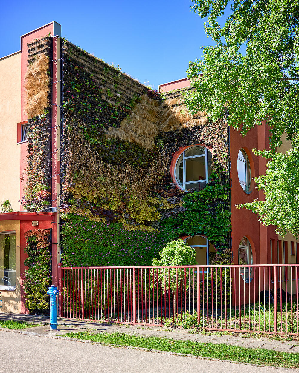 Zeleni zid na objektu škole u Novom Sadu