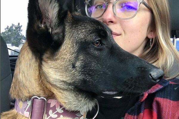 NAPALA JE PUMA, A NJEN PAS JOJ SE SPASAO ŽIVOT! Ono što se desilo posle, tužnije je nego što možete da zamislite