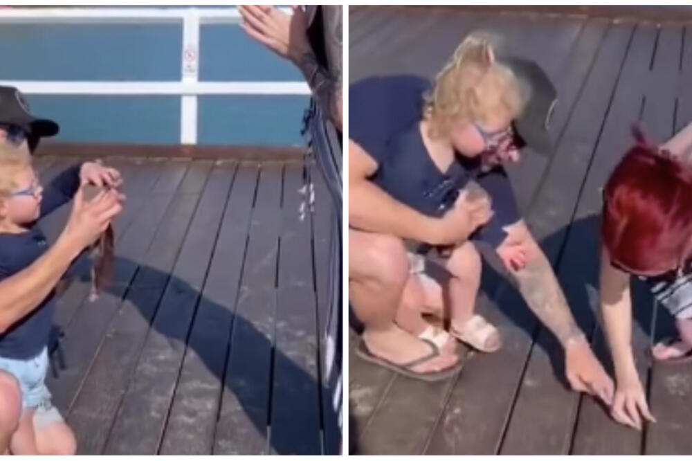 "ONA NIJE TA, ČEKAJ": Hteo da ZAPROSI devojku, a onda se desilo OVO, zbog komentara ćete plakati od SMEHA! (VIDEO)