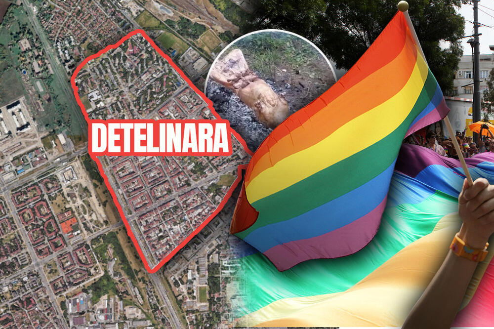 DIMI SE U NOVOM SADU! Momci sa Detelinare odlučili da proslave OTKAZIVANJE EVROPRAJDA i to OVAKO! (VIDEO)