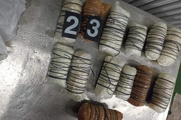 VIŠE OD 10 KILA ZLATA KRIO U REZERVOARU AUTA! Nemac uhapšen na Gradini (FOTO)