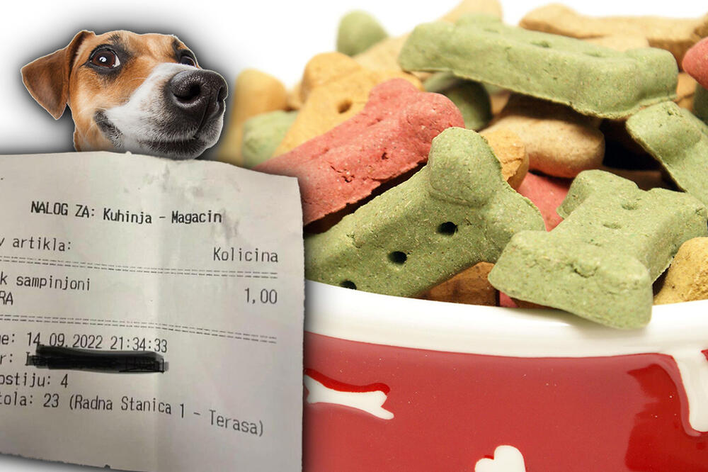 "KER SE HRANI BOLJE OD VEĆINE GRAĐANA": Gledajte samo šta je vlasnik naručio PSU U RESTORANU, region na NOGAMA!