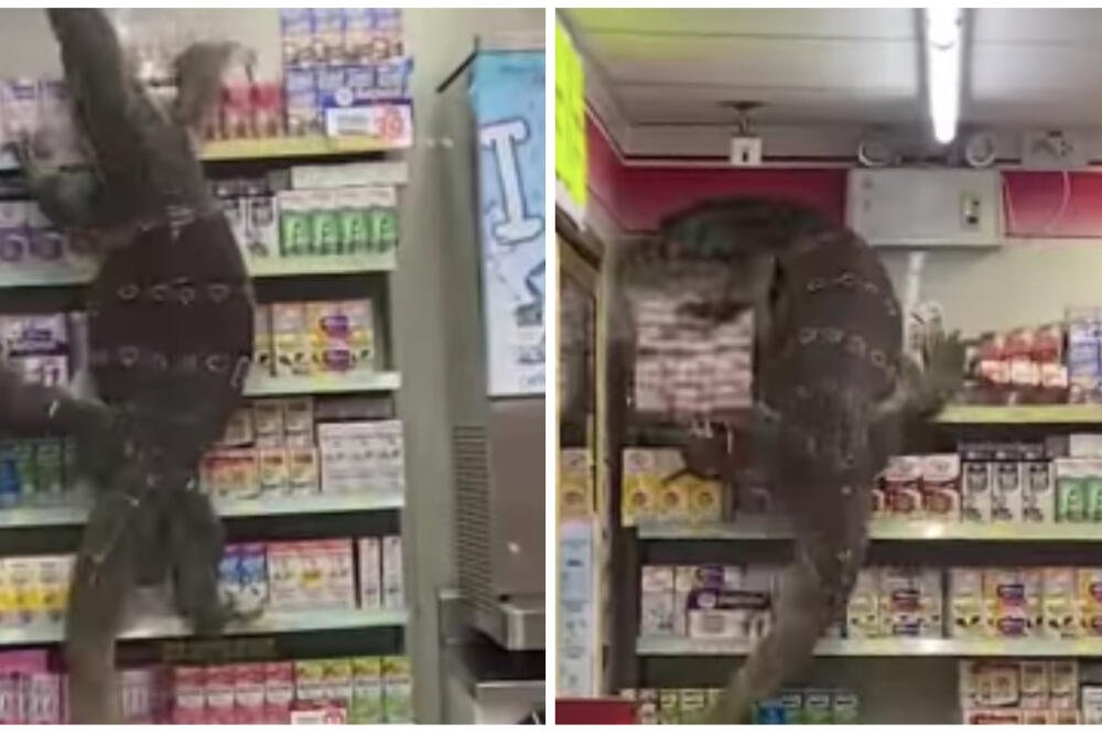 HOROR U PRODAVNICI: Čudovište od 2 metra počelo da se PENTRA po rafovima, svi ostali SKAMENJENI! (VIDEO)