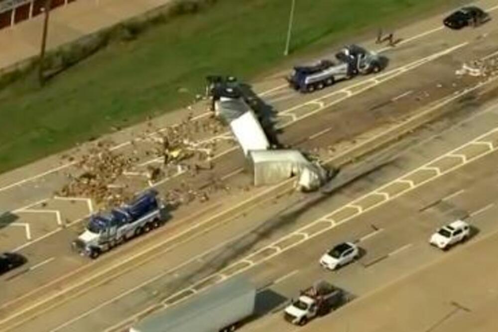 VIBRATORI PO PUTU NAPRAVILI OPŠTI KOLAPS! Evo koliko vremena će trebati da se svi POKUPE! (VIDEO)