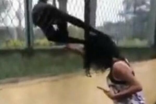 IZAZIVALA MAJMUNA, A ONDA JE ON NASRNUO NA NJU! Pogledajte kako SPAŠAVA ŽIVU GLAVU, UZNEMIRUJUĆE (VIDEO)