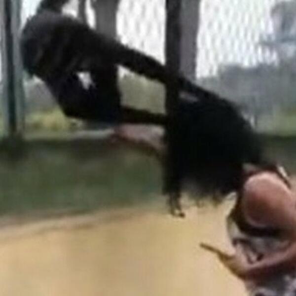 IZAZIVALA MAJMUNA, A ONDA JE ON NASRNUO NA NJU! Pogledajte kako SPAŠAVA ŽIVU GLAVU, UZNEMIRUJUĆE (VIDEO)