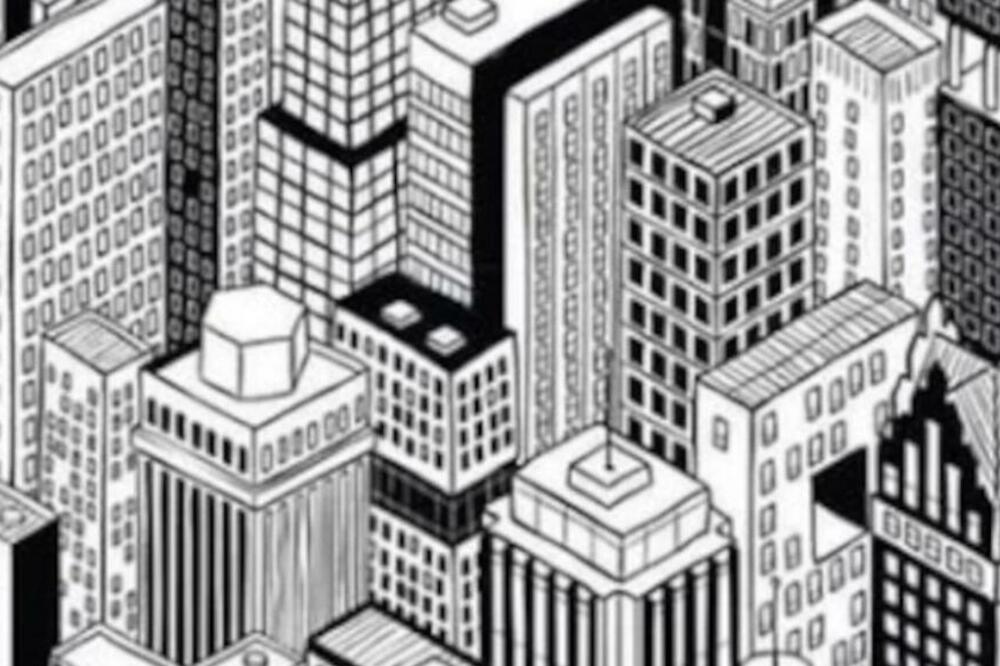 GDE JE MAČKA? Iluzija koja je ZALUDELA svet je pravi IZAZOV, proverite da li vi možete da je REŠITE! (FOTO)