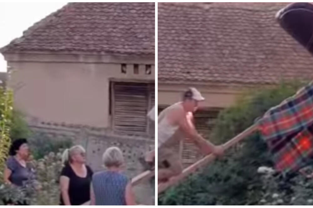 "SVUDA IMA BUDALA, ALI IZGLEDA DA JE KOD NAS CENTRALA"! Snimak iz Srbije NASMEJAO SVE DO SUZA, glavni akteri su ŠOU