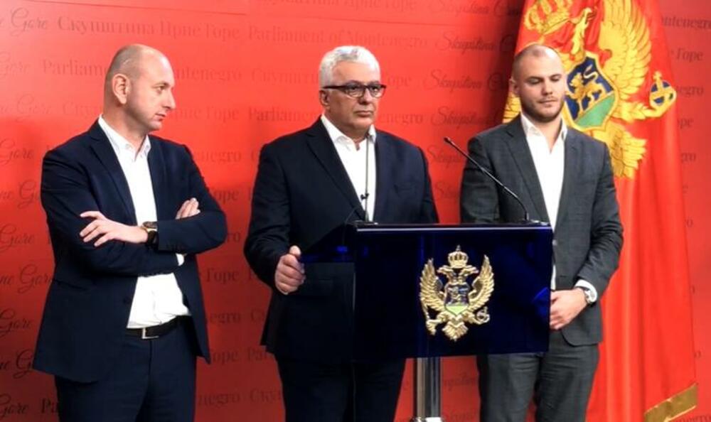 Demokratski front, Crna Gora