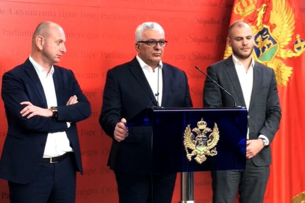 CRNA GORA DOBIJA NOVU VLADU: Odlučeno ko će biti mandatar (VIDEO)