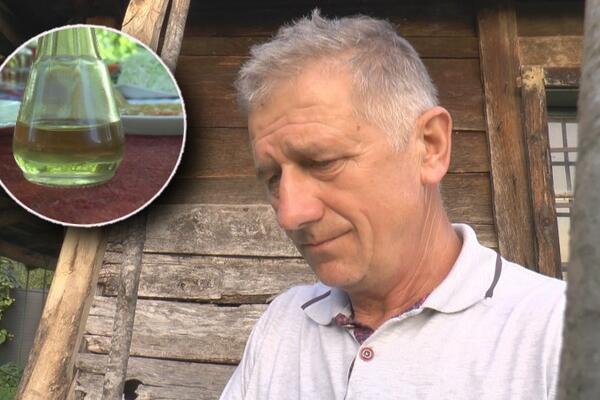 TRNOVAČA I MADŽARKA SU STARE SORTE, ALI RAĐAJU KAO "DEVOJKE": Milisav ove godine ima preko 2 tone i SVE IDE U KAZAN