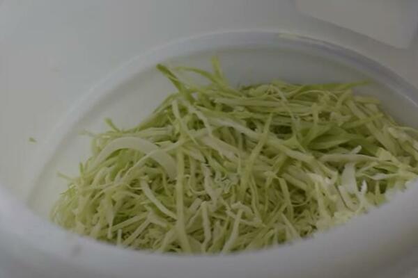 KUPUS RIBANAC SA CELEROM: Dodajte mu pored toga JOŠ 1 POVRĆE, ispašće NIKAD UKUSNIJI